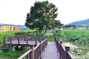 곡성향교 여행 추천 - 메고지고