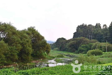 주암오토캠핑장 여행 추천 - 메고지고