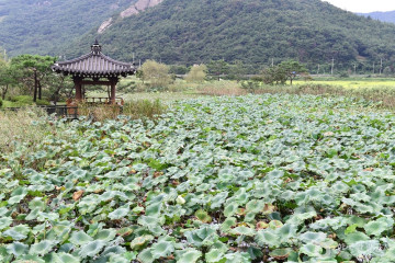 전남 안전체험 학습장 여행 추천 - 메고지고