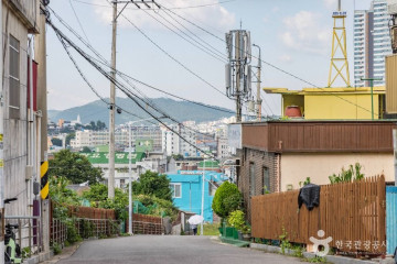 유달산일주도로 여행 추천 - 메고지고