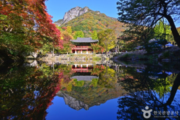 구암사(순창) 여행 추천 - 메고지고