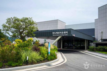 완도명사십리오토캠핑장 여행 추천 - 메고지고