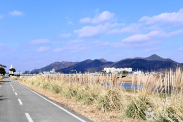 함평군립미술관 여행 추천 - 메고지고