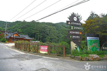 정혜사(순천) 여행 추천 - 메고지고