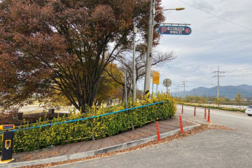 황미르랜드 테마공원 여행 추천 - 메고지고