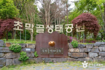 철쭉동산 여행 추천 - 메고지고