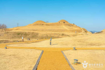 함안군승마공원 여행 추천 - 메고지고