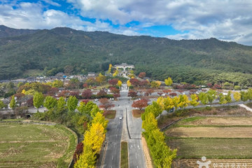 경주 남산동 동·서 삼층석탑 여행 추천 - 메고지고