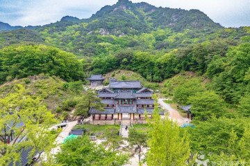 국립춘천숲체원 여행 추천 - 메고지고