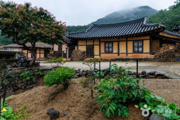 공현진항 여행 추천 - 메고지고