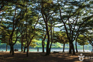 하동재첩특화마을 여행 추천 - 메고지고