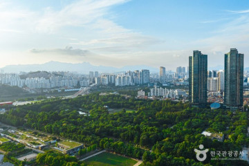 디뮤지엄 여행 추천 - 메고지고