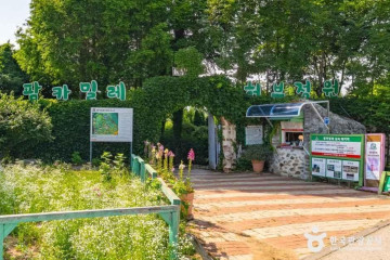 솔라고CC 여행 추천 - 메고지고
