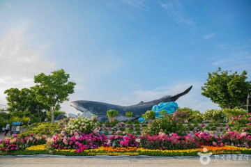 웨일즈 판타지움 여행 추천 - 메고지고