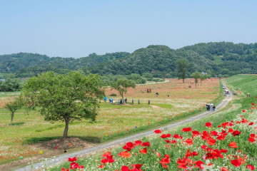 악양생태공원 여행 추천 - 메고지고
