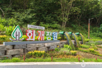 교동도(강화) 여행 추천 - 메고지고