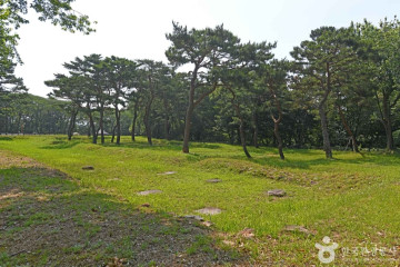 고란약수 여행 추천 - 메고지고
