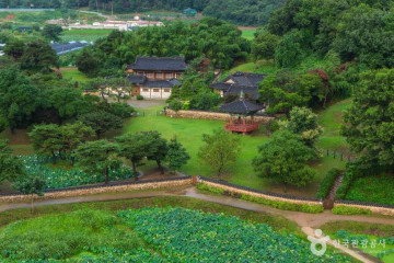 용도수목원 여행 추천 - 메고지고