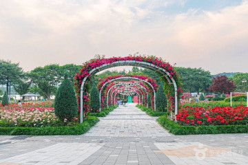 서울대공원 산림욕장 여행 추천 - 메고지고