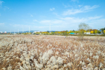 호림강나루공원 여행 추천 - 메고지고