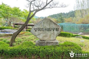 삼덕공원 여행 추천 - 메고지고