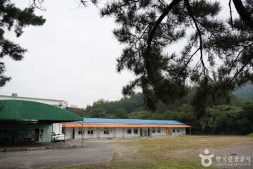 한방테마파크 초락당 여행 추천 - 메고지고