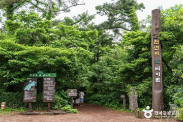 둔지봉 여행 추천 - 메고지고