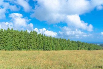 옷귀마테마타운 여행 추천 - 메고지고