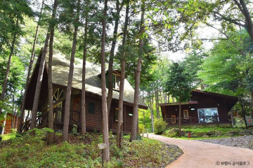 화장골 계곡 여행 추천 - 메고지고