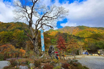 미약골 여행 추천 - 메고지고