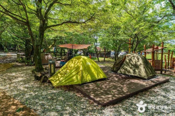 제주과학탐구체험관 여행 추천 - 메고지고