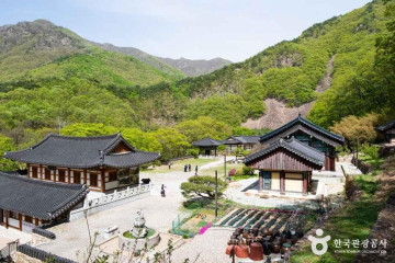 백화산(영동) 여행 추천 - 메고지고