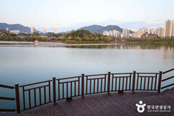 충주시택견원 여행 추천 - 메고지고