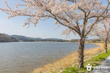 초도마을 여행 추천 - 메고지고