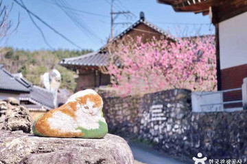 설악산국립공원 자동차야영장 여행 추천 - 메고지고