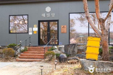 진희네딸기 여행 추천 - 메고지고