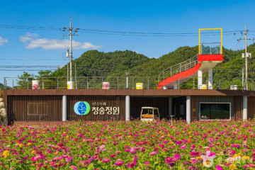 청송 신기리 느티나무 여행 추천 - 메고지고