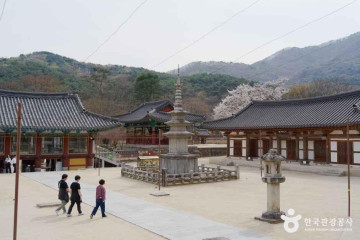 황악산 여행 추천 - 메고지고