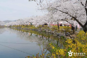 구화산바베큐 여행 추천 - 메고지고