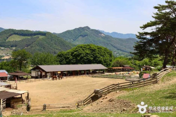 매운탕골 여행 추천 - 메고지고