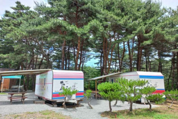 남대천(양양) 여행 추천 - 메고지고