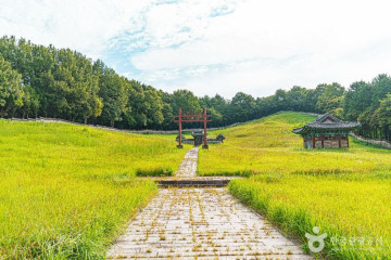 전북대학교 박물관 여행 추천 - 메고지고