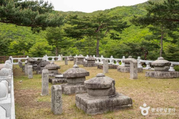완정고택 여행 추천 - 메고지고