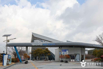 롯데월드 어드벤처 부산 여행 추천 - 메고지고