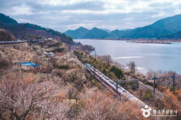 가야진사 여행 추천 - 메고지고