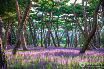 마전낚시터 여행 추천 - 메고지고