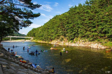 해담구룡령 야영장 여행 추천 - 메고지고