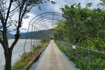 인제 아리캠핑장 여행 추천 - 메고지고
