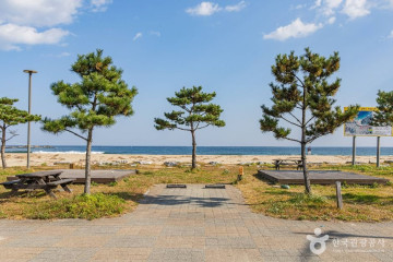 [강원평화누리자전거길 18코스] 고성 거진명태고향길 여행 추천 - 메고지고