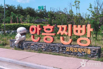 동그라미캠핑장 여행 추천 - 메고지고